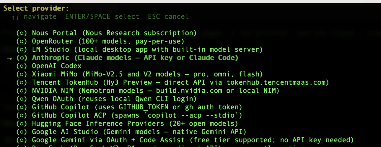 Hermes setup wizard model provider selection screen with OpenRouter, Anthropic, OpenAI and other options