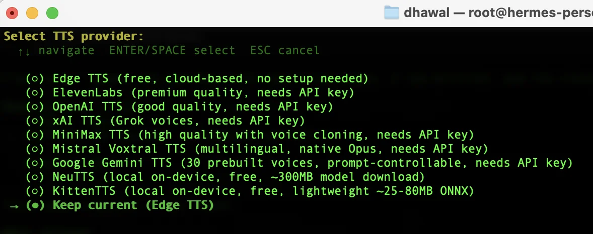 Hermes setup wizard text-to-speech configuration screen