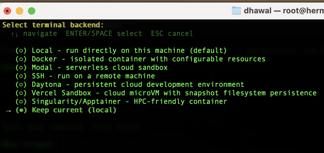 Hermes setup wizard terminal backend selection