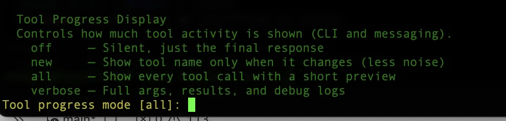 Hermes setup wizard tool progress visibility setting