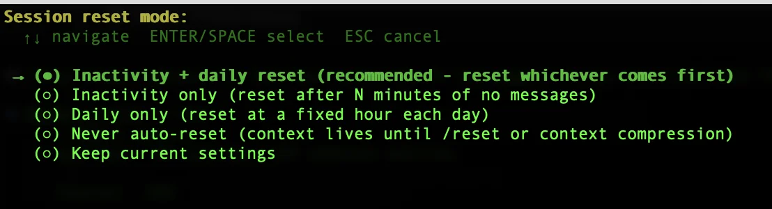 Hermes setup wizard session reset behavior selection