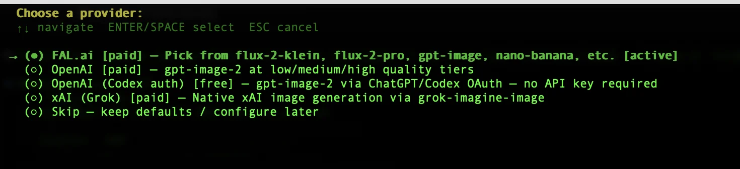 Hermes setup wizard image generation provider selection