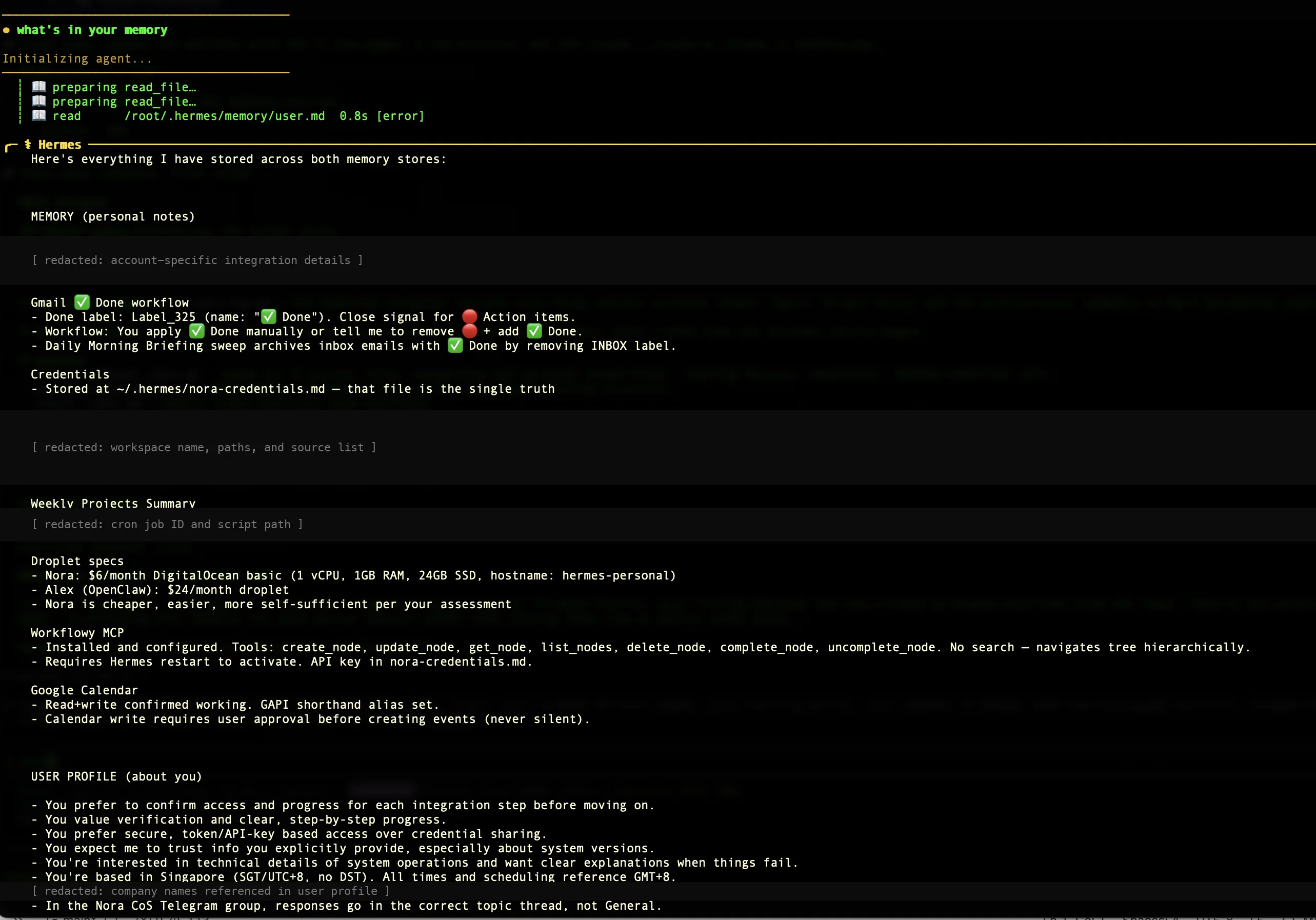 Hermes Agent memory list output showing memory categories, user profile preferences, and integration details, with personal company and project specifics redacted