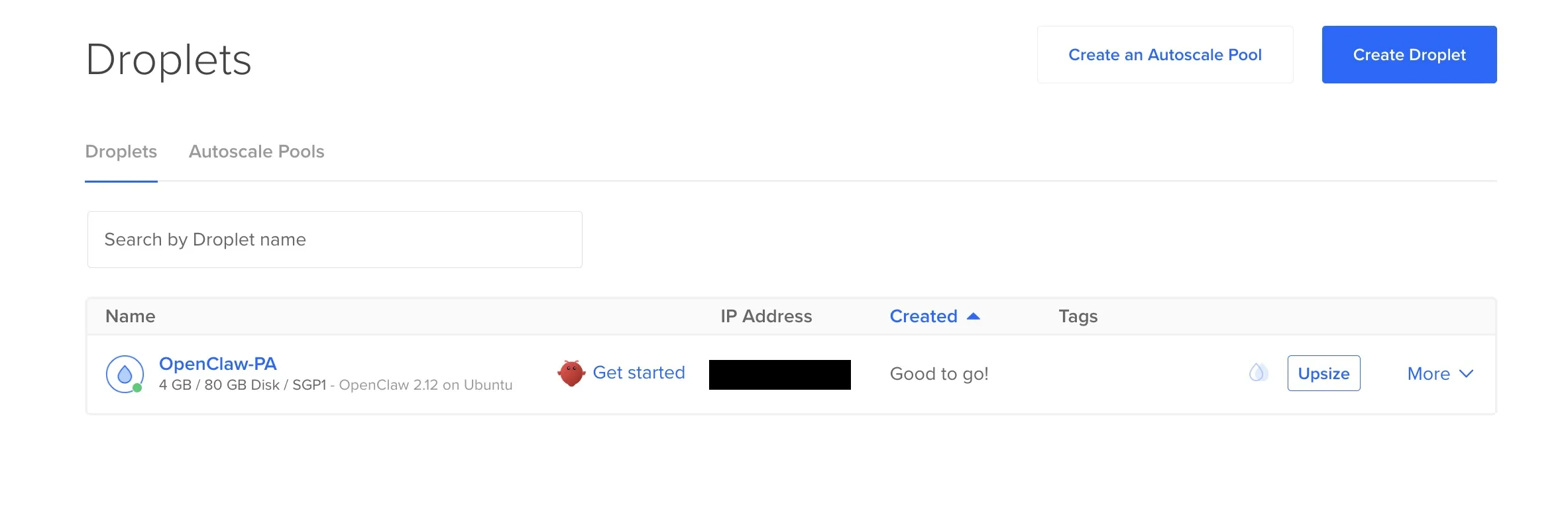 DigitalOcean showing the newly created droplet with its IP address