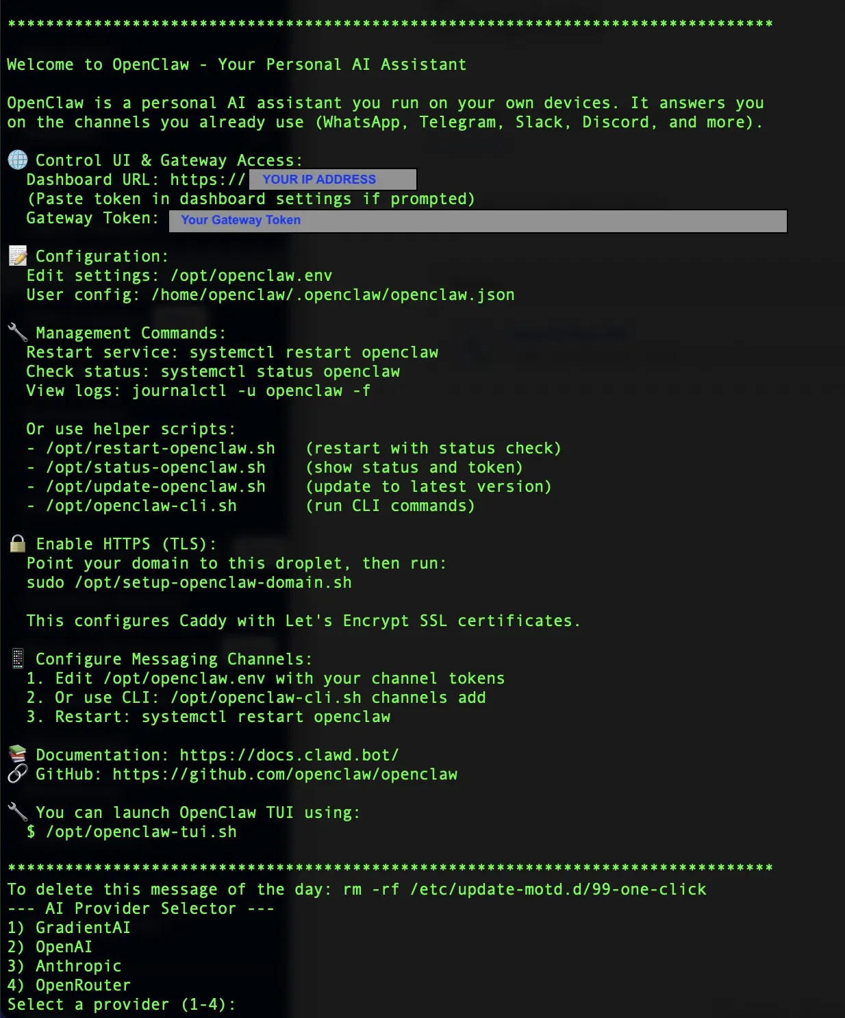 First SSH connection to the new DigitalOcean droplet